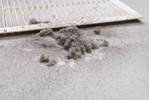 Best Air Duct Cleaning Near Me  in Royal Oak, MI