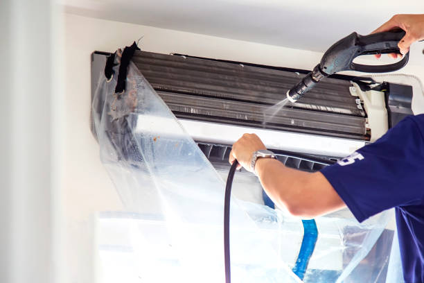 Best Affordable Air Duct Cleaning  in Royal Oak, MI