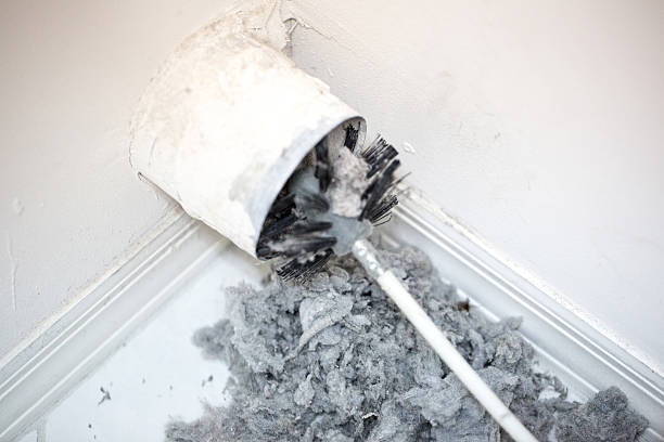 Best HVAC Maintenance and Cleaning  in Royal Oak, MI
