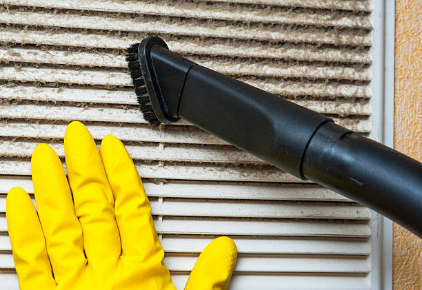 Best Affordable HVAC Duct Cleaning  in Royal Oak, MI