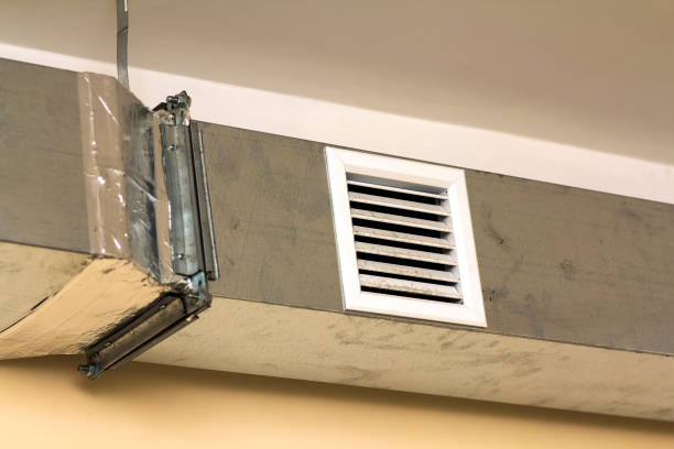 Best Air Duct Cleaning Company Near Me  in Royal Oak, MI